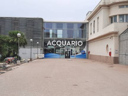 Aquarium de Livourne près de Terrazza Mascagni